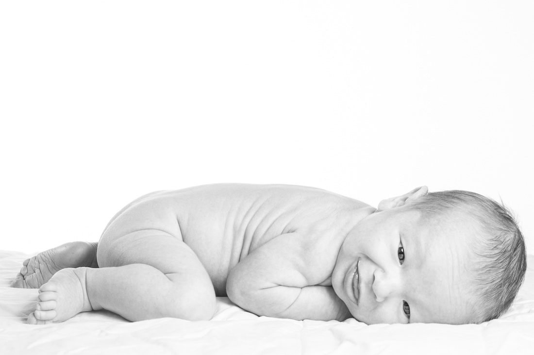 newborn photographer in dallas